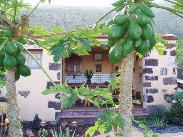 Casa De Mi Abuela Maria Konuk evi Jerez de la Jerez de la Frontera Dış mekan fotoğraf